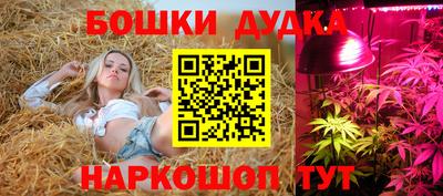 метадон Лесосибирск
